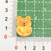 DIY Animal Cookies Charms Accessories – Customizable Phone Case, Hairpin, Fridge Magnet & Keychain Set